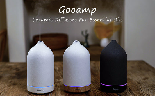 What Exactly Does a Humidifier Do?